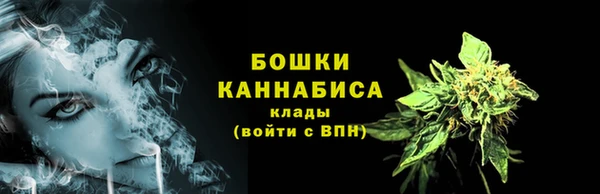 спайс Няндома