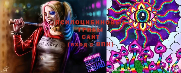 MDMA Premium VHQ Нязепетровск