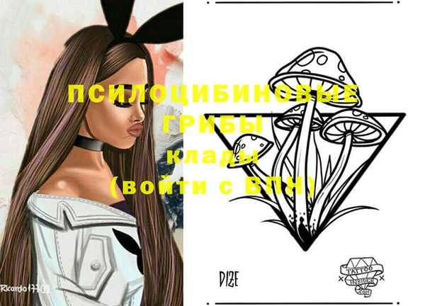 MDMA Premium VHQ Нязепетровск