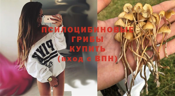 спайс Няндома