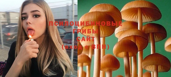 MDMA Premium VHQ Нязепетровск
