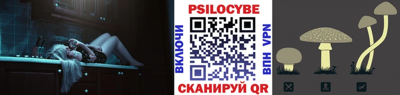 Галлюциногенные грибы Psilocybe  Щёкино 
